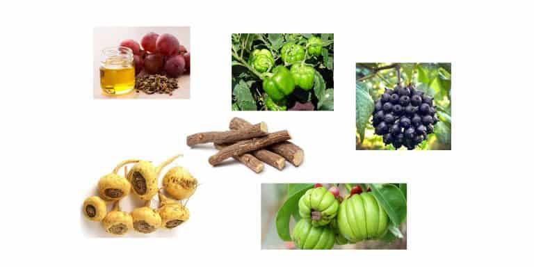 Biotox Gold Ingredients